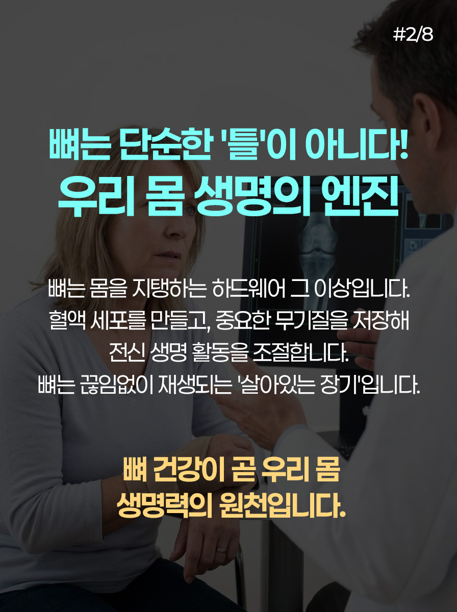카드뉴스 2