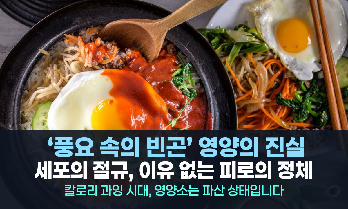 배부른 당신의 세포가 굶주리고 있는 이유: ‘풍요 속의 빈곤’ 영양의 진실