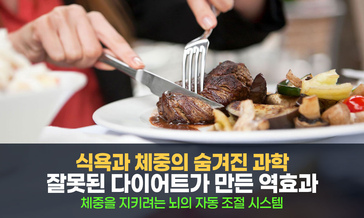 식욕과 체중의 숨겨진 과학, 뇌는 왜 무의식적으로 지방을 저장할까?
