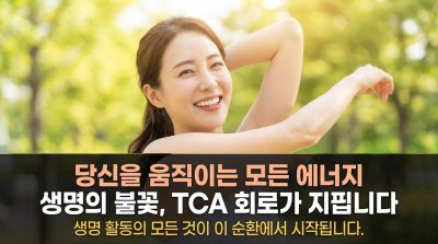 생명의 연료, 미토콘드리아 속 TCA 회로의 비밀