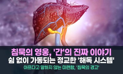 당신이 잠든 사이에도 500가지 일을 해내는 침묵의 영웅, '간'의 진짜 이야기