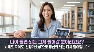 뇌는 늙지 않고 '성장'합니다: 뇌 가소성이 선사하는 평생 젊은 뇌의 비밀