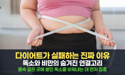 우리가 잘못 알고 있는 진실, 독소와 비만의 숨겨진 연결고리