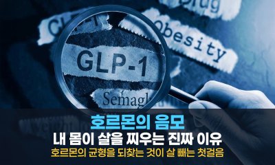 호르몬의 음모: 내 몸이 살을 찌우는 진짜 이유