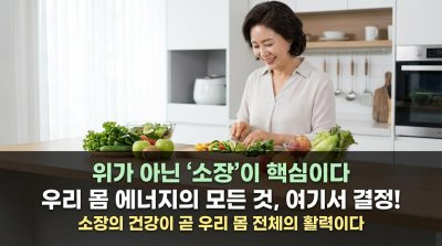 위는 예고편, 소장이 본편! 진짜 소화는 '여기'서 일어난다
