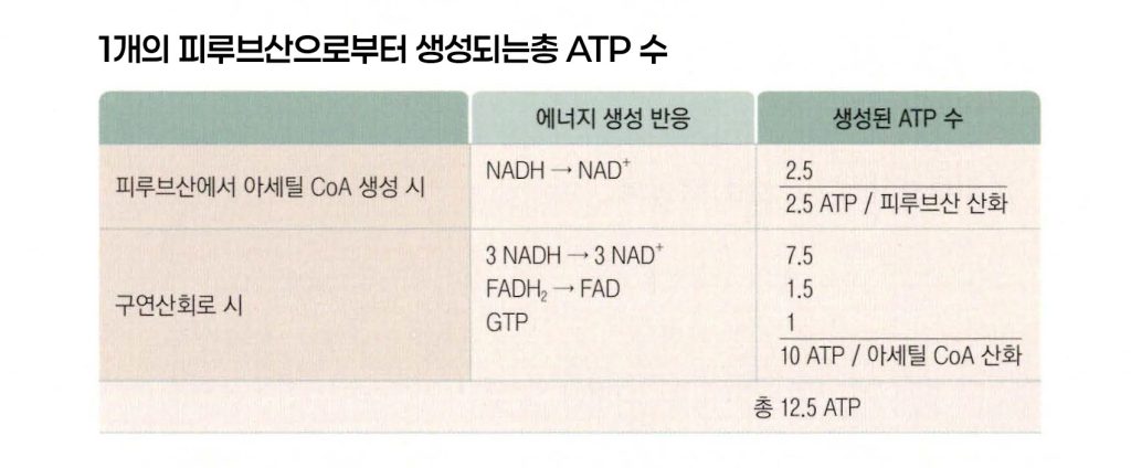 ATP와 NAD⁺ 이야기