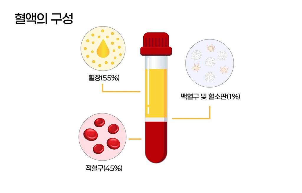 혈액의 구성