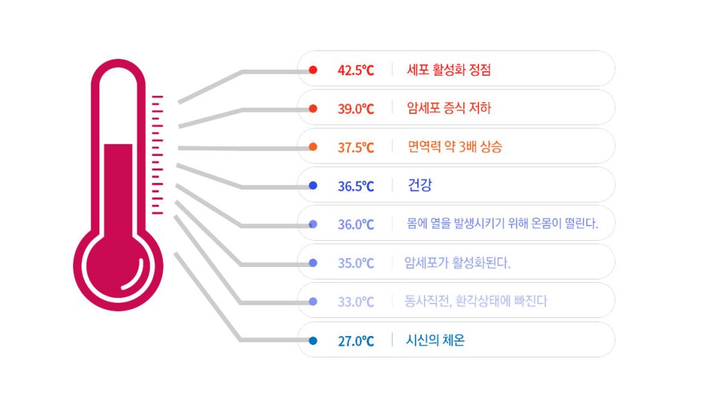 체온과 건강