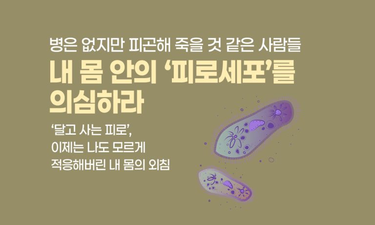 피로세포