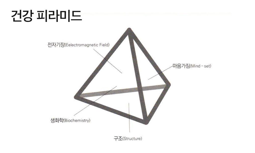 건강 피라미드
